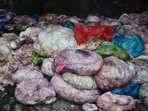 Cơ sở chế biến mỡ bẩn nằm giữa nghĩa trang: Hiện trường rùng mình được phơi bày