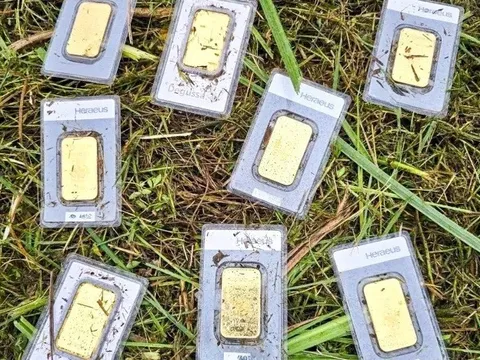 Công nhân đang cắt cỏ thì tìm thấy 8 thỏi vàng, người này quyết làm ngay 1 việc