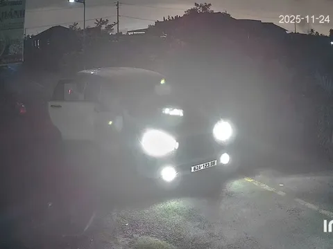 Nhóm cẩu tặc ở Tây Ninh lộ diện