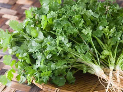 Loại rau thơm là "linh hồn" của nhiều đặc sản Việt nhưng một số du khách nước ngoài lại ái ngại, viết cả thông điệp lên áo, là rau gì vậy?