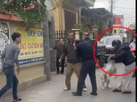 Vụ xua chó tấn công người ở Hồng Vân, Hà Nội: Người chứng kiến kể chi tiết đau nhói lòng