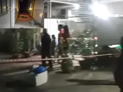 Vụ người phụ nữ tử vong trước cửa phòng trọ ở TPHCM: Hé lộ thông tin bất ngờ về người đàn ông nghi sát hại bạn gái