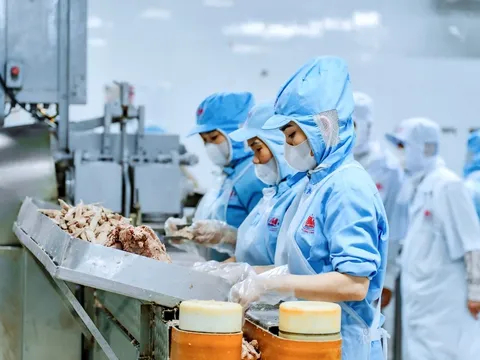 Vụ 130 tấn lợn bệnh của Công ty cổ phần Đồ hộp Hạ Long: Doanh thu "khủng", danh sách dài đối tác bán lẻ