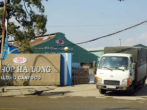 Khởi tố Tổng giám đốc Công ty Cổ phần Đồ hộp Hạ Long Trương Sỹ Toàn