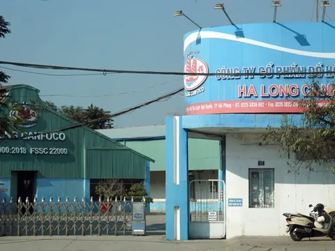 Vụ 130 tấn thịt lợn bệnh Đồ hộp Hạ Long: Nữ cán bộ Sở NN&MT Hải Phòng ra đầu thú là ai?