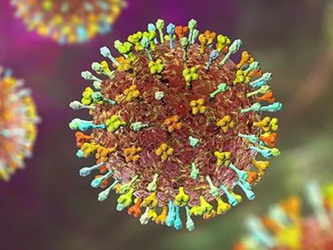 Phát hiện virus Nipah tại Thái Lan