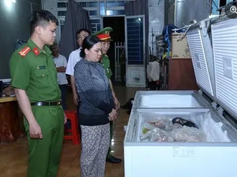 Mua heo chết nhiễm dịch tả châu Phi bán ra thị trường, Lê Thị Bích Phượng bị khởi tố