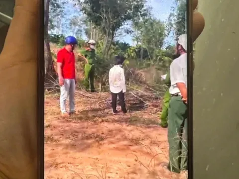 Nghi người đàn ông 43 tuổi xâm hại tình dục một phụ nữ 50 tuổi ở vườn bạch đàn, công an vào cuộc