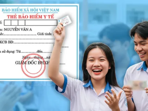 Quyết định hỗ trợ 100% mức đóng BHYT từ ngày 14/11 cho toàn thể học sinh đang học tại các cơ sở giáo dục theo Công văn 3566 chi tiết như thế nào?