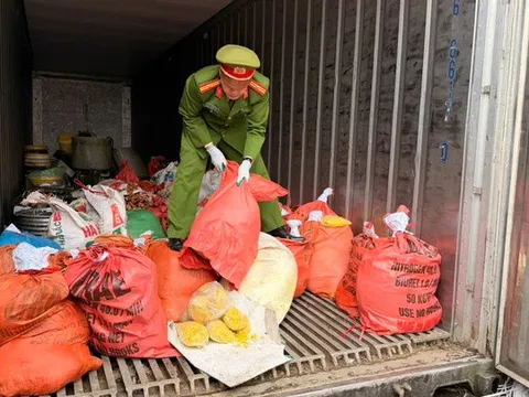 Chất Vàng O có nguy cơ gây ung thư được trộn vào 2 tấn riềng xay bán ra chợ ở Bắc Ninh, mức độ nguy hiểm thế nào?