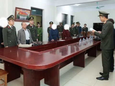 Khởi tố, bắt tạm giam Vũ Như Anh