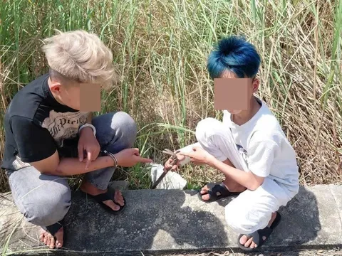 Nhóm "trộm nhí" hành động đáng xấu hổ bị bắt tại trận