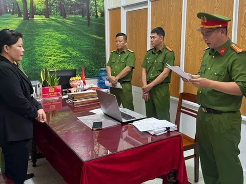 Bắt nguyên hiệu trưởng một trường mẫu giáo, sững sờ lý do