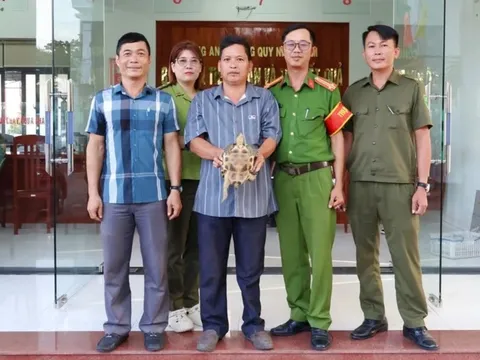 Rùa cổ sọc quý hiếm bò vào vườn nhà dân có gì đặc biệt?