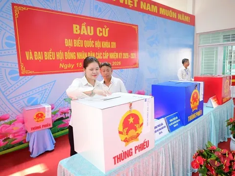 Chính thức công bố kết quả bầu cử, danh sách người trúng cử đại biểu Quốc hội và HĐND các cấp năm 2026 chậm nhất bao nhiêu ngày?