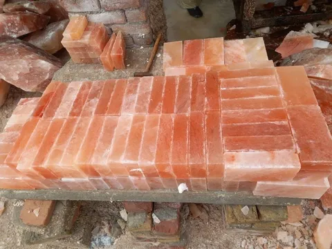 Cựu cán bộ trường Đại học Bách khoa Hà Nội lừa cháu họ hơn 13 tỷ đồng là ai?