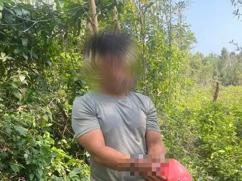 Bắt giữ đối tượng gây ra 7 vụ trộm trong 20 ngày, vạch trần thủ đoạn hết sức tinh vi