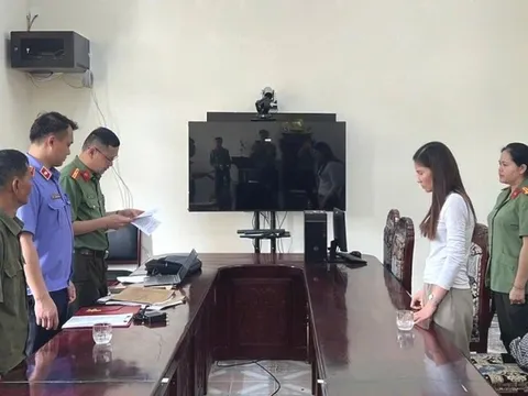 Khởi tố Mai Thị Minh