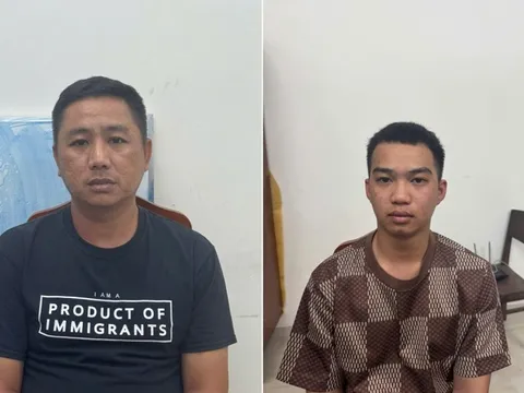 Khởi tố Lê Minh Tú và Phùng Bá Lâm