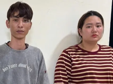 Vũ Thị Hương Giang vì sao lại bị khởi tố?