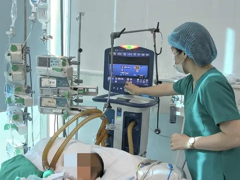 Chó nhà nuôi chết bất thường nhưng cha mẹ không để ý, vài ngày sau bé gái 11 tuổi phát bệnh dại tử vong