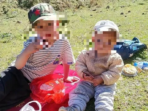 Hai cháu bé tử vong thương tâm vì 1.000 vết đốt của ong bắp cày