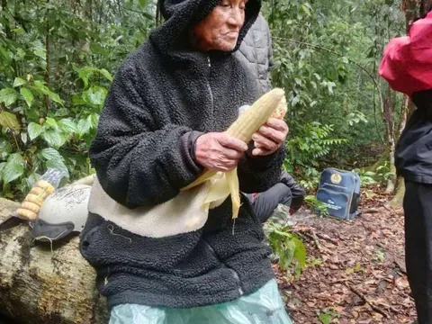 Tưởng đã không qua khỏi, cụ ông 78 tuổi bất ngờ được tìm thấy sau 5 ngày biệt tích giữa rừng hoang!