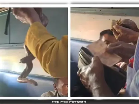 Kinh hãi: Clip ghi lại cảnh người đàn ông đem theo rắn sống đi xin tiền giữa tàu đông người