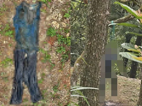 Phát hiện thi thể đang phân huỷ của nam giới chết trong tư thế treo cổ ở Tam Đảo, danh tính vẫn là ẩn số