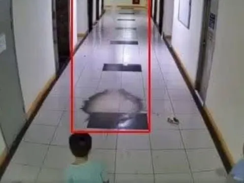 Thực hư thông tin ba bé trai ném dép làm hỏng hai thang máy chung cư, gây thiệt hại lên đến 2 tỷ đồng