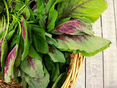 Không phải rau đắt tiền, đây mới là nhóm “ít bị phun thuốc trừ sâu” đáng mua ngoài chợ