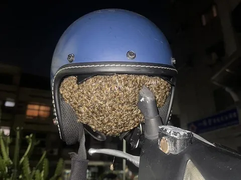 Một đêm “bỏ quên” mũ bảo hiểm, sáng hôm sau cô gái nhận cái kết không ai dám đội