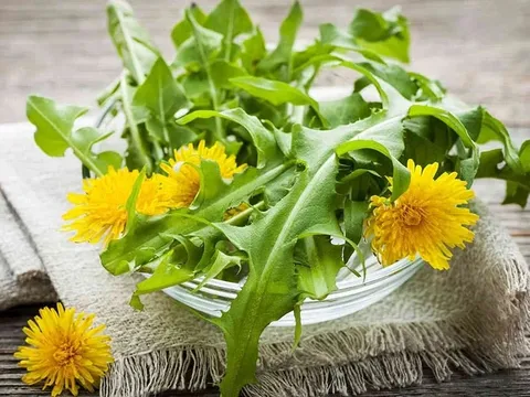 Từng mọc đầy ven bờ rào, nay được mệnh danh "vua thải độc": Giá không còn rẻ, vào bếp thành món lạ nhiều người mê