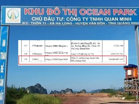 Chủ đầu tư KĐT Ocean Park Vân Đồn nợ thuế hơn 330 tỷ đồng