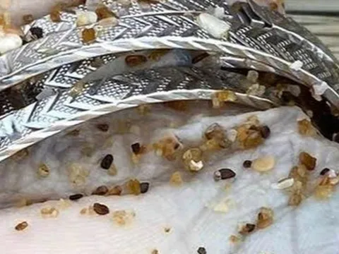 Phát hiện thi thể nữ giới không nguyên vẹn ở bờ biển: Công an mời 1 người nghi vấn liên quan lên làm việc