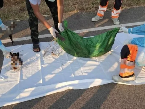 Phát hiện thi thể nữ sinh trong bao tải ven đường: Hé lộ manh mối điều tra