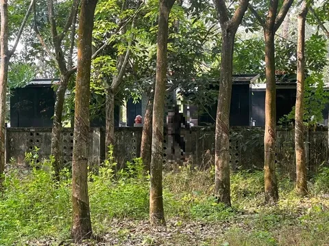 Vụ thi thể nam giới treo cổ, đang phân hủy ở rừng cao su: Hiện trường đau lòng