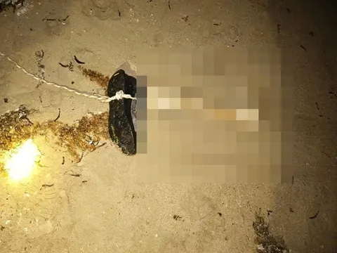 Rùng mình đoạn xương chân còn đi giày trôi dạt vào bờ biển Ninh Thuận, ngư dân kéo lên bờ