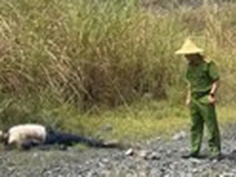 Vụ phát hiện thi thể người đàn ông đang phân hủy ở Lào Cai: Nạn nhân có dấu hiệu tâm thần, "mất liên lạc" gần 20 ngày