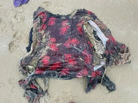 Phát hiện thi thể nam giới đang phân hủy trôi dạt vào bờ biển Hà Tĩnh: Có đặc điểm ra sao?