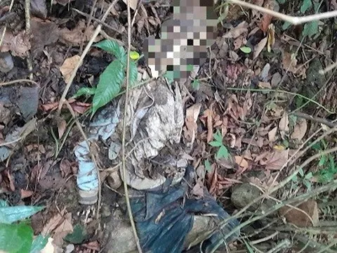 Rùng mình phát hiện thi thể chỉ còn lại bộ xương khô dưới vực sâu ở Lâm Đồng: Hiện trường có gì?