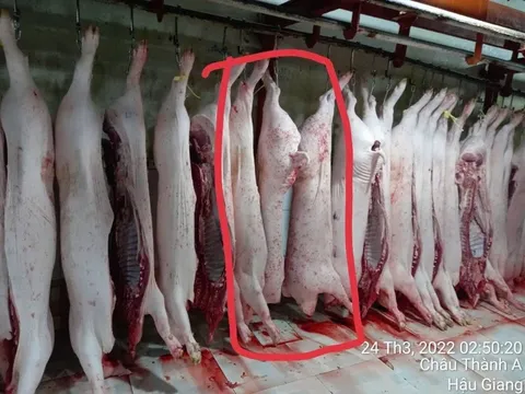 Diễn biến mới vụ khiếu nại cửa hàng C.P. Việt Nam: Xuất hiện thêm bằng chứng từ ông L.Q.N