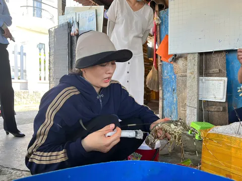Lật tẩy chiêu trò bơm thạch vào tôm hùm chết – Thủ đoạn tinh vi cỡ nào?