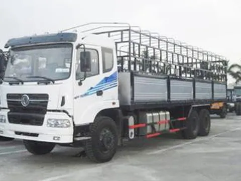 Trường hợp xe ô tô chở hàng được chở người