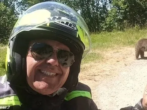 Du khách Italy bị gấu mẹ tấn công tử vong sau khi selfie với gấu con ở Romania