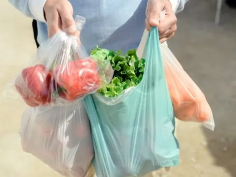 Từ 2028, chợ và cửa hàng tiện lợi ở Hà Nội không sử dụng túi ni lông, hộp xốp khó phân hủy