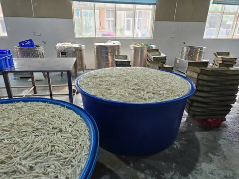 Phát hiện gần 7 tấn chân gà ngâm hóa chất tẩy trắng chuẩn bị đưa đi tiêu thụ
