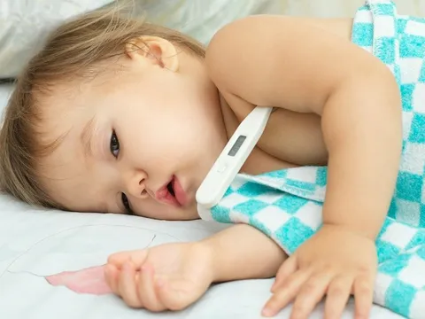 Hà Nội: Phát hiện ca viêm não Nhật Bản đầu tiên trong năm nay