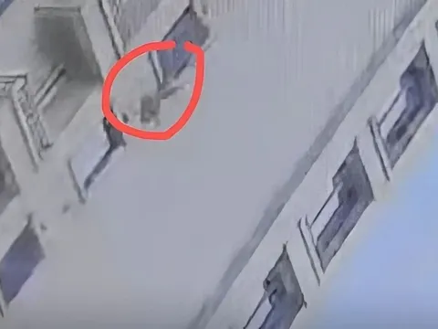 Bé trai 3 tuổi rơi từ tầng 18 sống sót kỳ diệu nhờ một cái cây