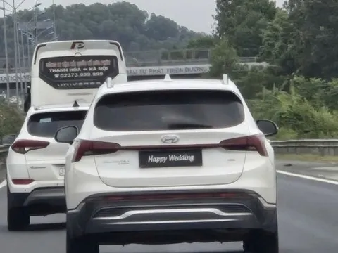 Hyundai Santa Fe che biển số bằng dòng chữ "Happy Wedding": Lộ mức phạt đắng ngắt